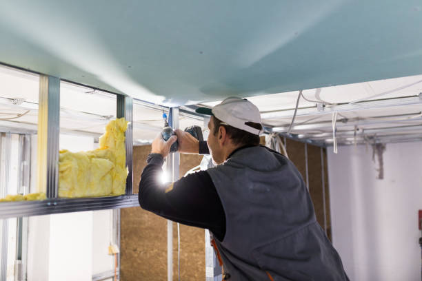 Best Insulation Maintenance and Repair in New Brighton, MN